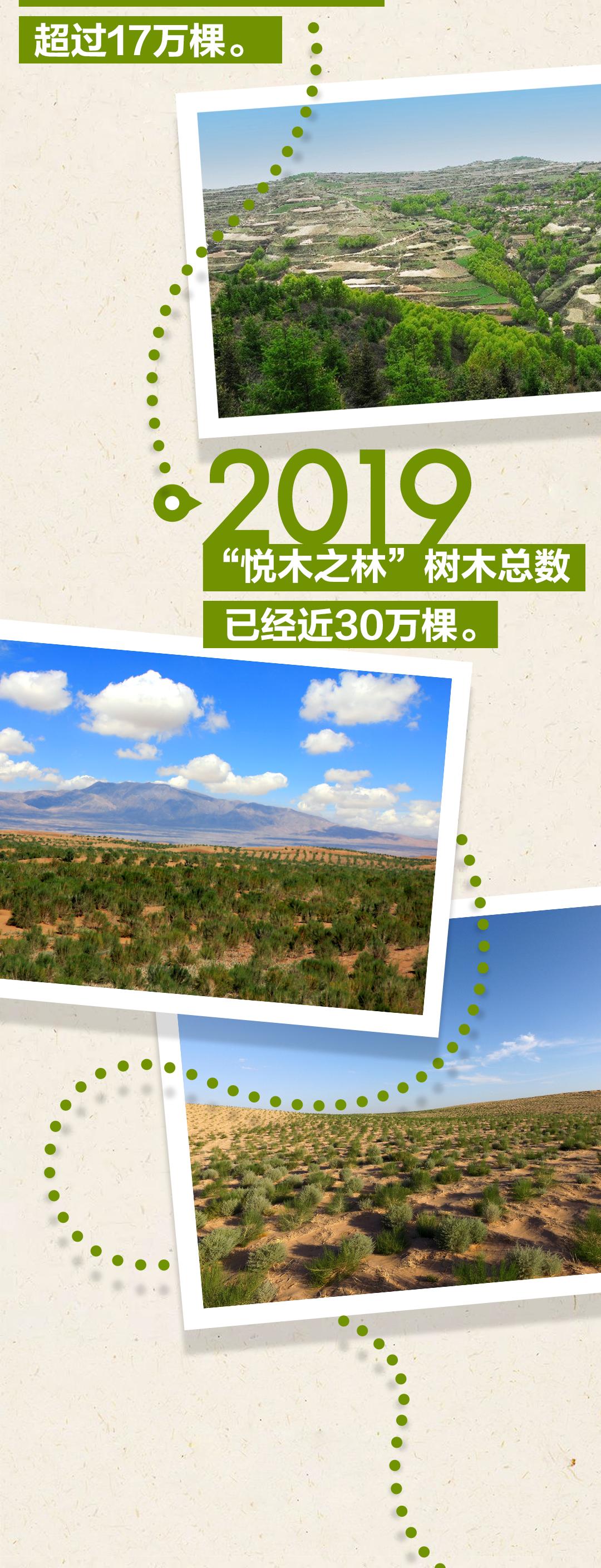 拥有风靡全网的“网绿”才是向往的生活