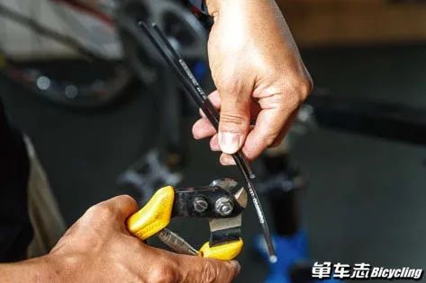 什么时候换刹车线,全刹变速线和刹车线多久一换