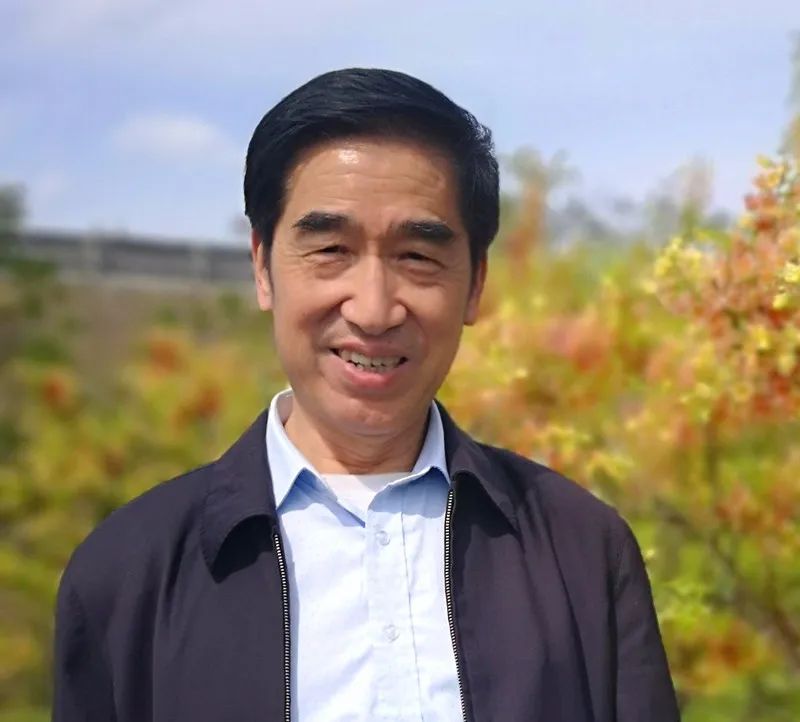 荷花和莲花有什么区别啊,荷花和莲花是一回事吗