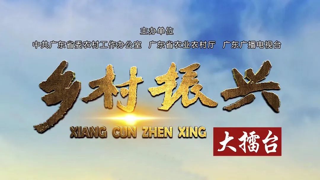 长寿村的秘密原视频,世界长寿乡梅州市蕉岭县