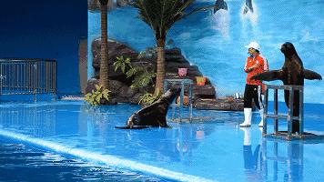 广西极地海洋馆免费吗,广西极地超大海洋馆电话