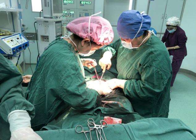 生命的较量,生命的较量歌曲