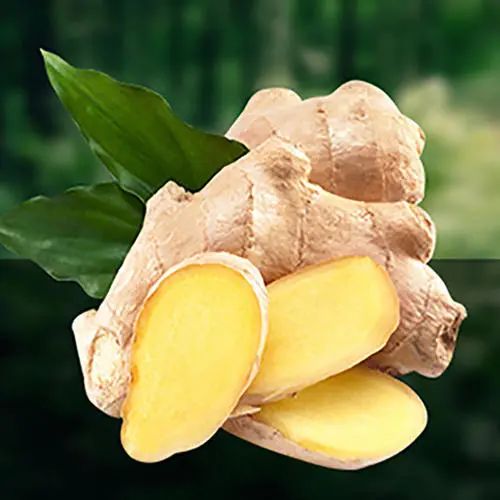 夏至养生重在健脾,夏至节气该如何解暑和养生