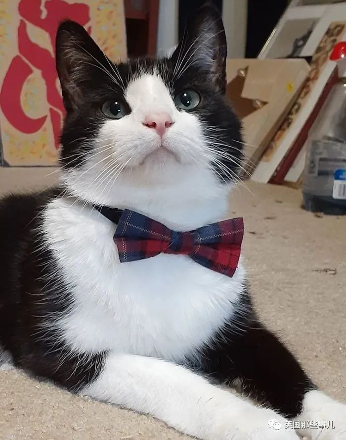 外国网友分享自己淘到的各种旧货,分享一些国外回流稀奇古怪老物件