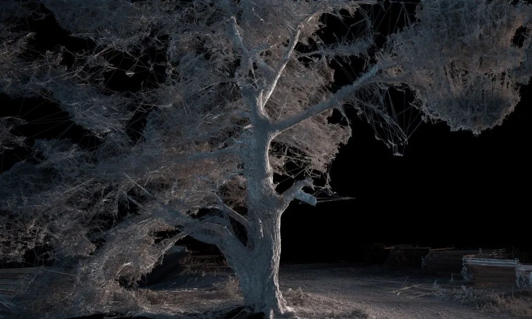 2022年对未来的自己有什么想说的,2020有没有什么对未来想说的