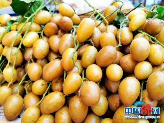 广东人爱吃的黄皮,广东台山吃啥