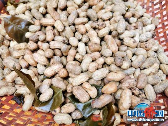 广东人爱吃的黄皮,广东台山吃啥