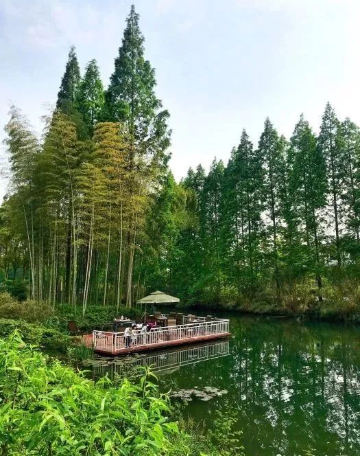 夏日避暑胜地高铁直达,坐动车可直达哪些地方避暑