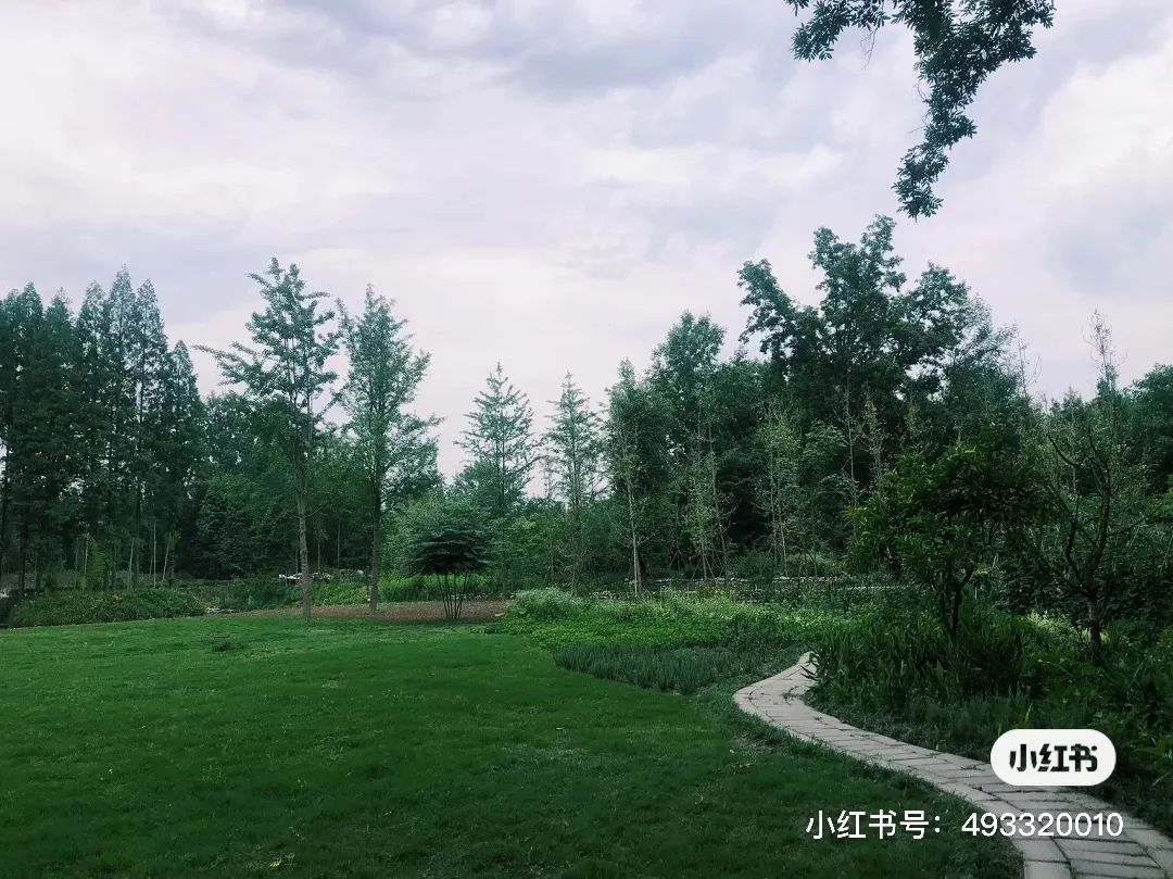 夏日避暑胜地高铁直达,坐动车可直达哪些地方避暑