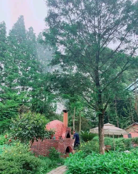 夏日避暑胜地高铁直达,坐动车可直达哪些地方避暑