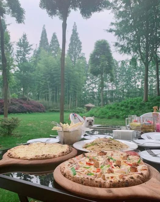 夏日避暑胜地高铁直达,坐动车可直达哪些地方避暑