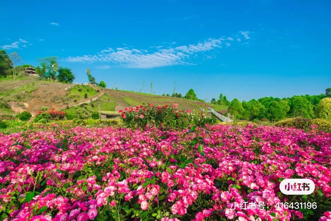 夏日避暑胜地高铁直达,坐动车可直达哪些地方避暑
