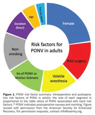 珠江视界纪录片,最新术后恶心呕吐防治专家意见