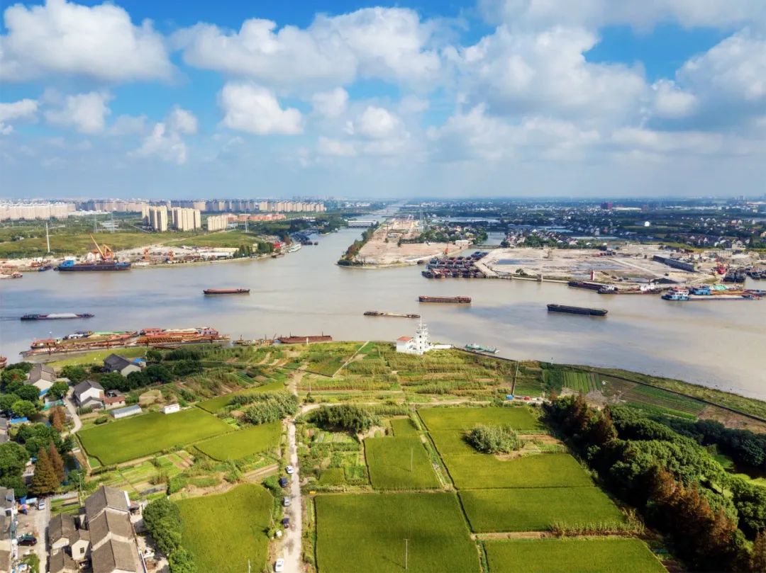 3300亩成熟地块、万套人才公寓，闵行这里邀您成为“第一湾合伙人”