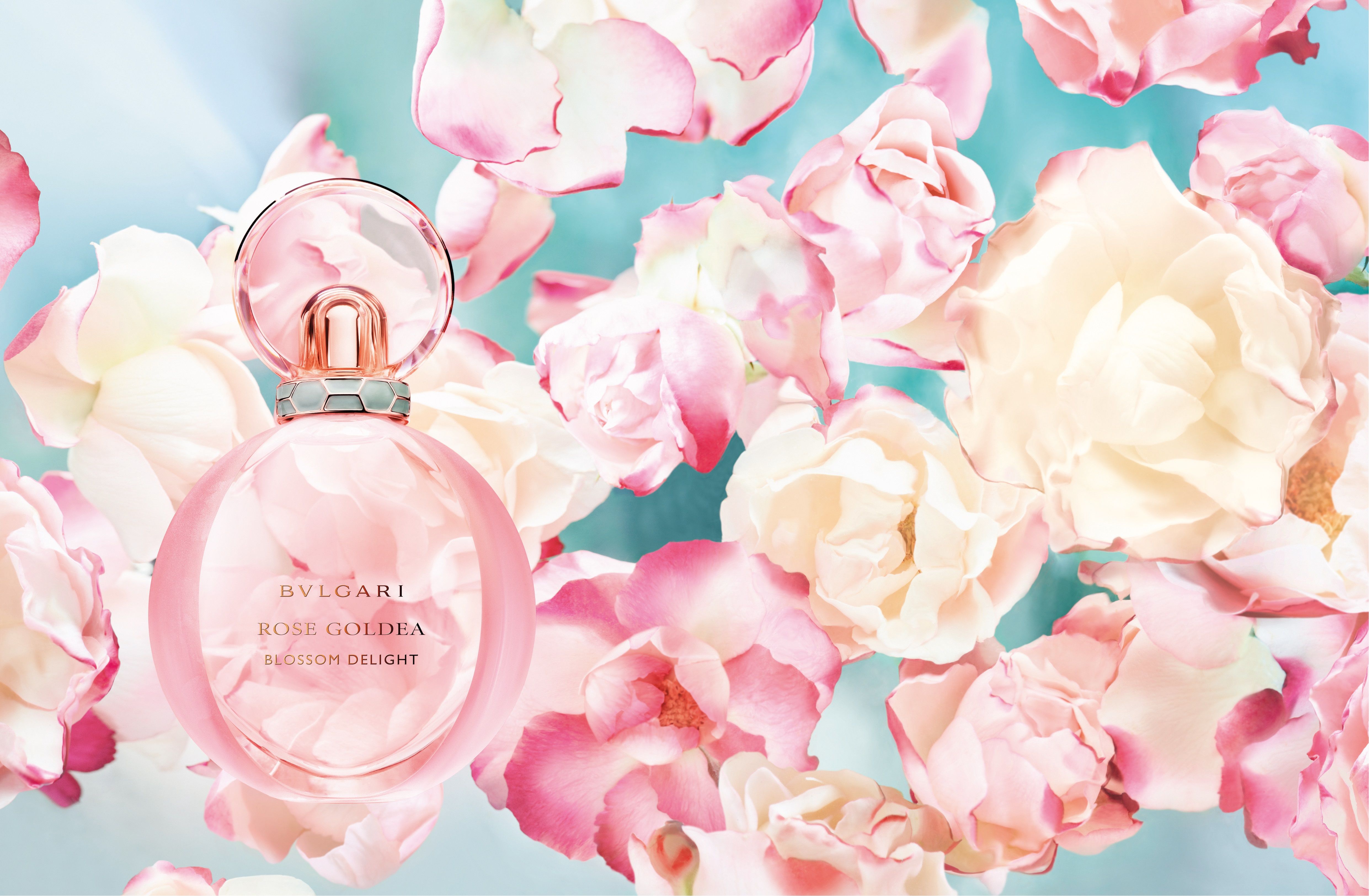 乘风破浪的姐姐senorita预告片,乘风破浪的姐姐pick谁