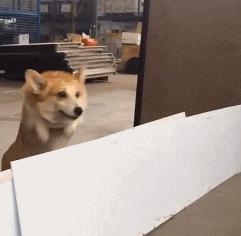 我敢说每个女生都遇到过这个尴尬，这篇帮你解决