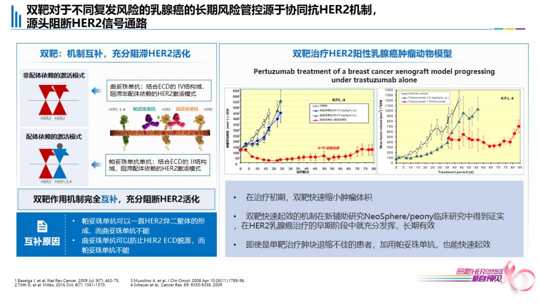 her阳性乳腺癌新辅助治疗研究,her2阳性乳腺癌新辅助治疗方案