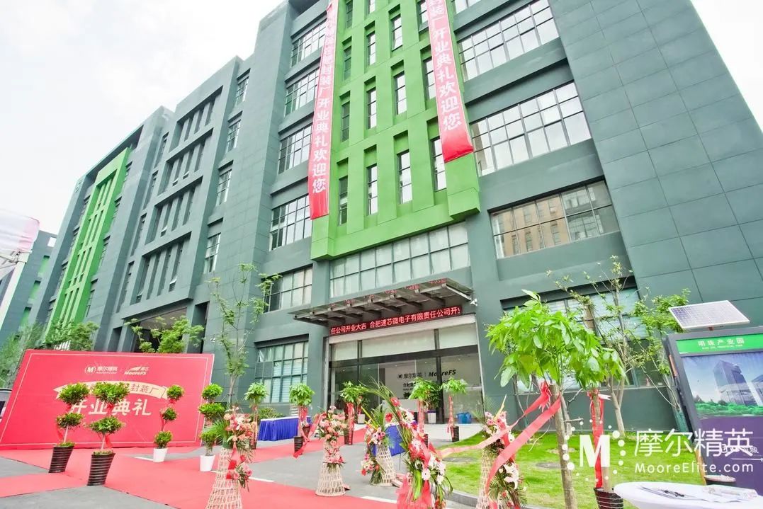 摩尔精英5周岁，谢谢你陪我一起成长