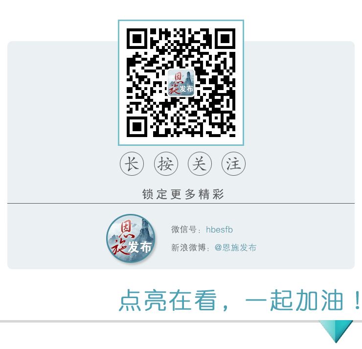 恩施市公立医院有哪家,恩施大型公立医院