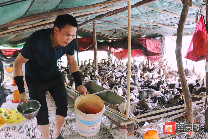 脱贫户发展养殖产业帮扶政策,济南农村致富创业养殖好项目