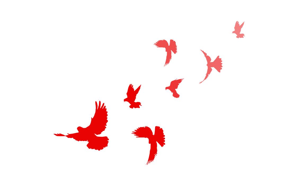 96岁老红军回忆抗战,巴金的抗战岁月