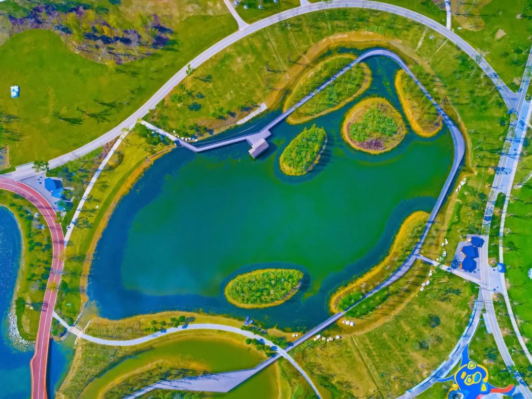 成都绿道潮玩地点推荐,成都绿道附近好玩的地方