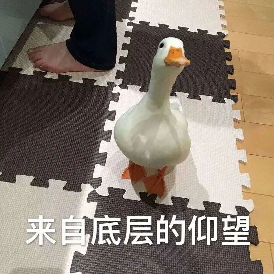 诺基亚目前盈利情况,死掉的诺基亚一年躺赚1500亿