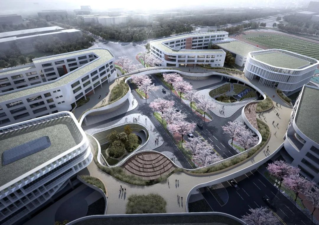 2020年衢州中考录取分数线公布,衢州市高中招生简章