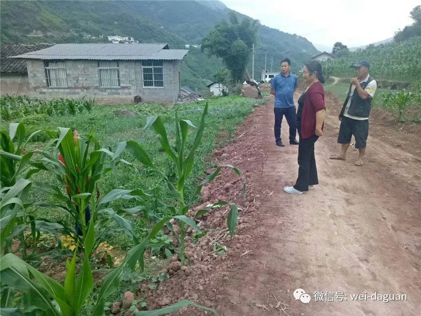 不脱贫不脱战袍的“高大姐”