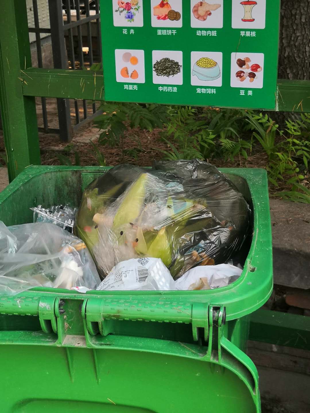 天气热垃圾桶小蚊子多怎么办,天热垃圾桶蚊子苍蝇多