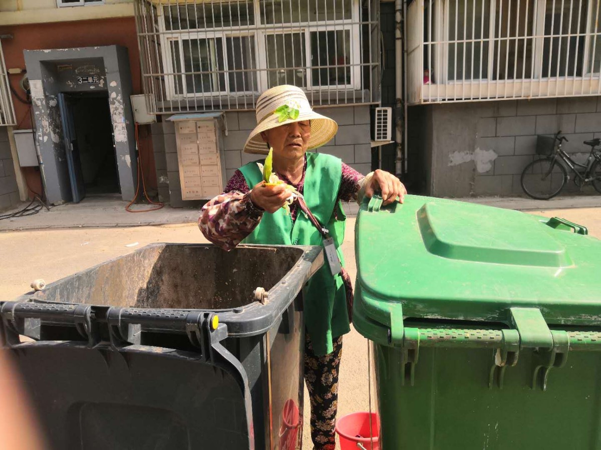 天气热垃圾桶小蚊子多怎么办,天热垃圾桶蚊子苍蝇多