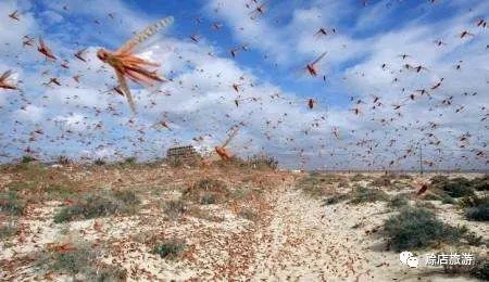 长篇小说郑长春,郑长春长篇小说全文