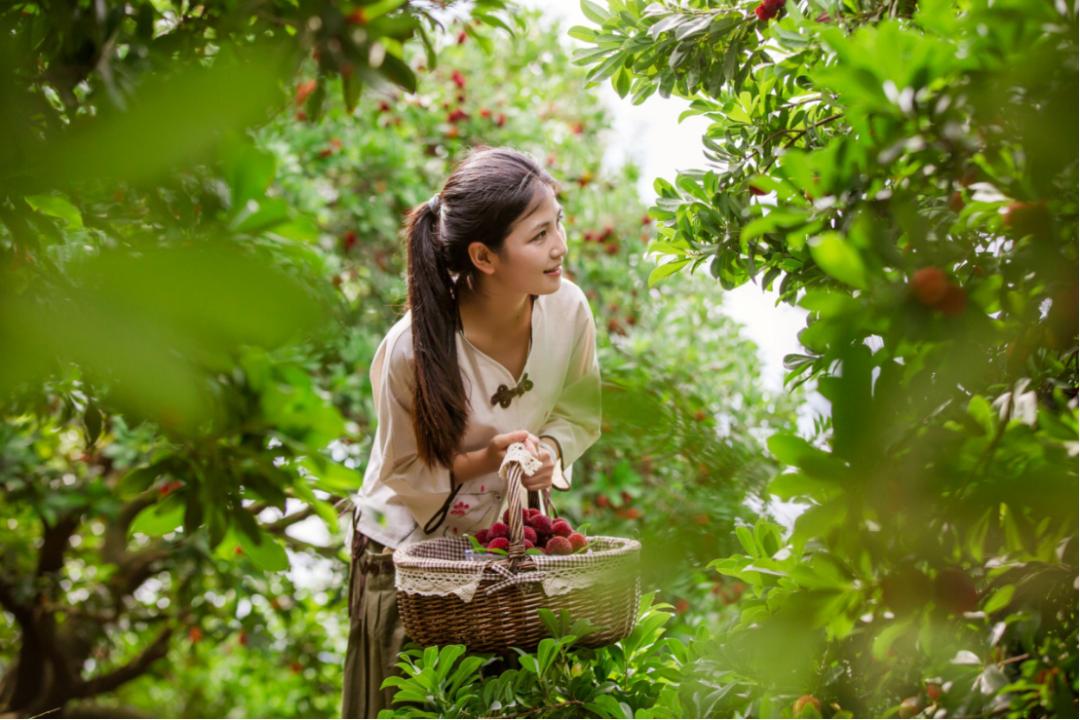 浙江省台州仙居县委书记林虹,2019年仙居县委书记林虹