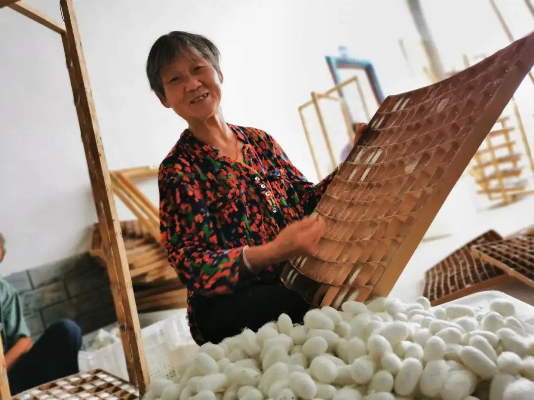 仪陇媒体记者,新闻记者体验农村生活