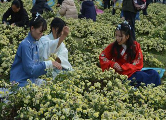 医疗设备应用技术专业书籍,医疗设备应用技术专业最新新闻