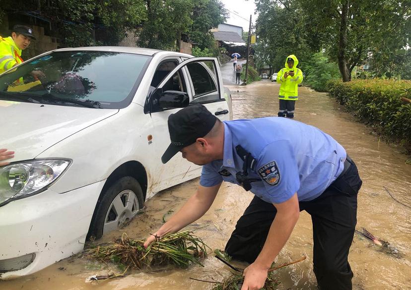 2019年7月20日丽水新闻,丽水新闻快讯