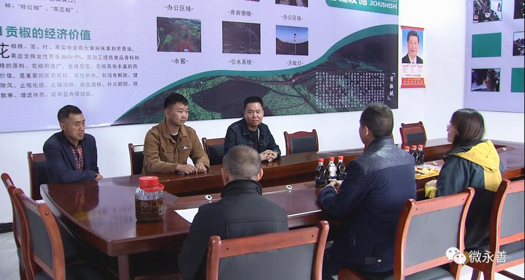 永善小贡椒种植基地,昭通永善县的支柱产业