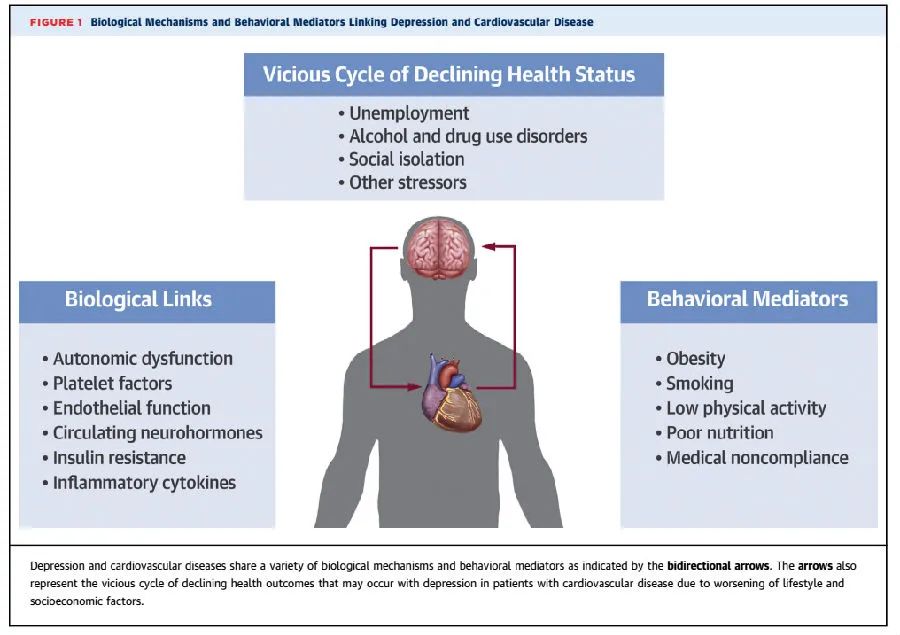 当抑郁症导致身体不适时怎么办,当抑郁症遇到抑郁症会怎样