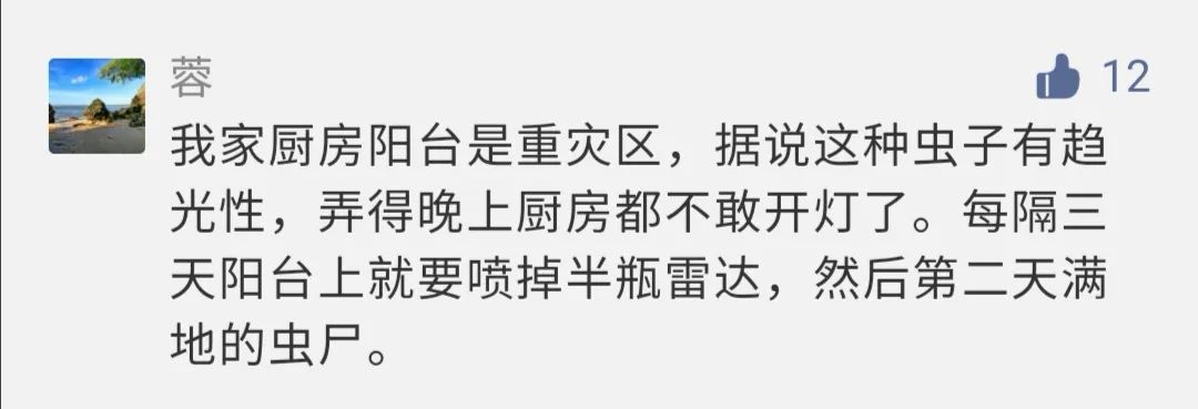 农村发现小黑虫,请问家里出现的这种小黑虫是什么