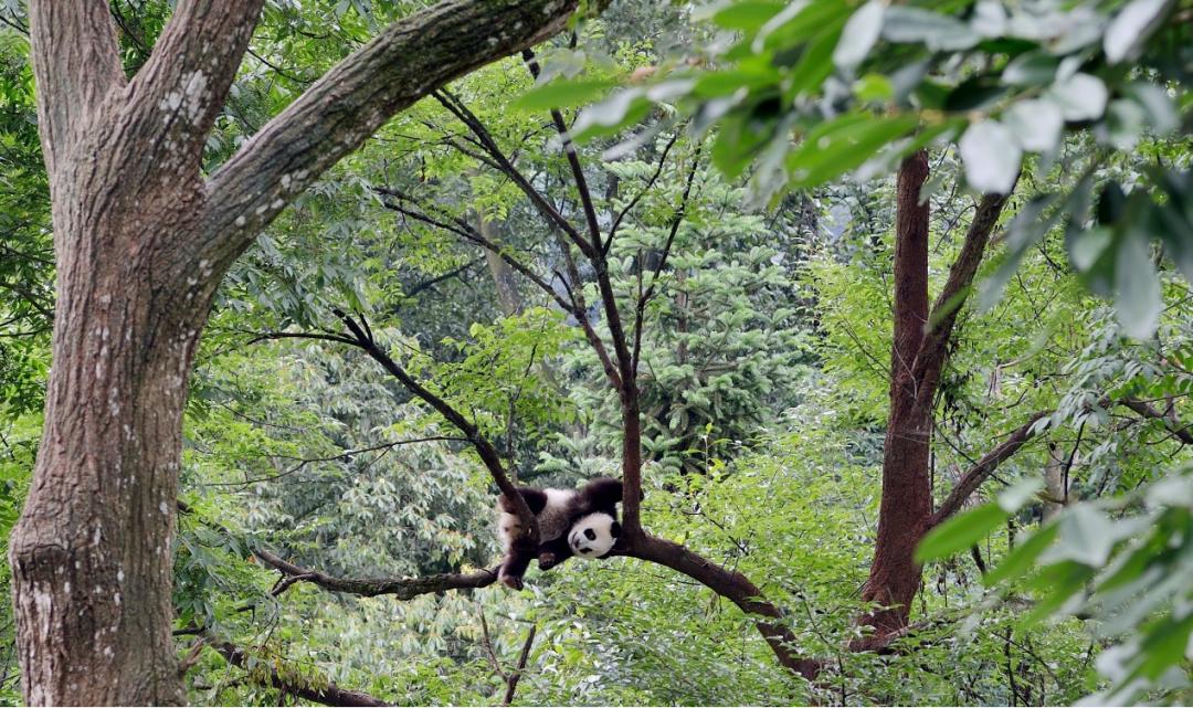 打卡百米观光电梯大美山色尽收眼底~