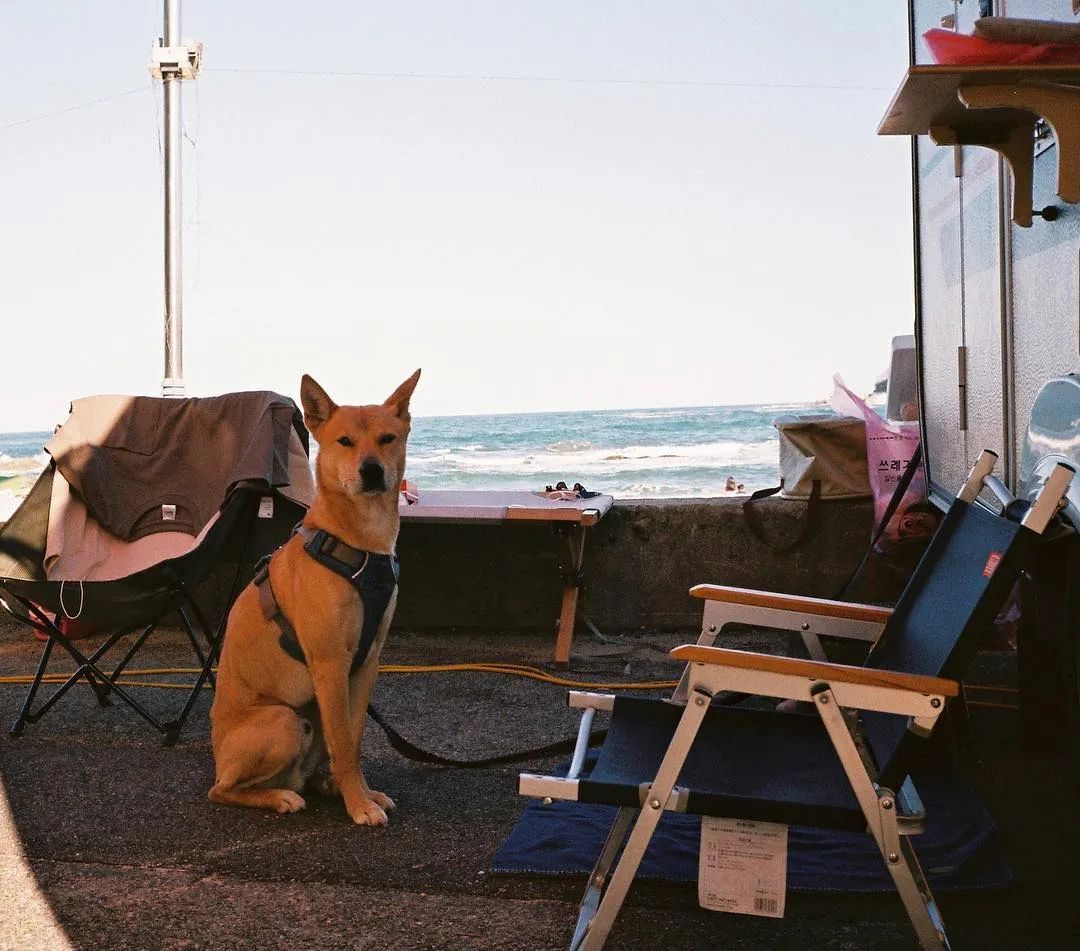 权志龙的家人怎么看权志龙,权志龙的家庭条件