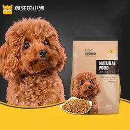 红杉资本投资高端宠物,红杉资本领投项目