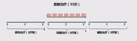 鼻咽癌最新研究进展,鼻咽癌csco指南2021解读