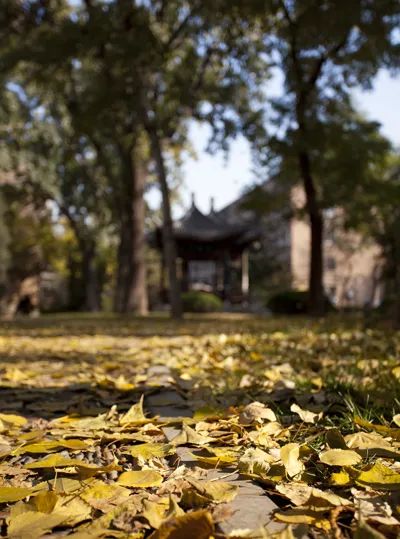 「志愿指导」中国人民大学：A类学科专业在京均投放新增三个实验班项目