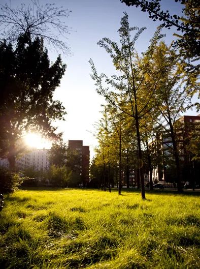 「志愿指导」中国人民大学：A类学科专业在京均投放新增三个实验班项目