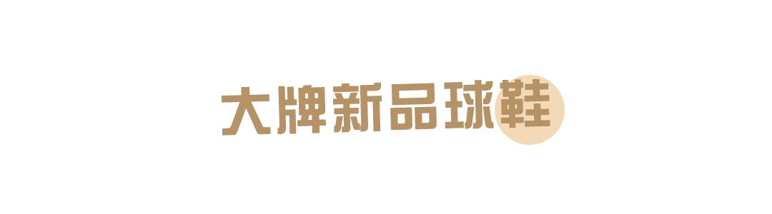 王思聪新款球鞋,王思聪80w什么鞋