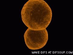 干细胞治疗中枢神经损伤最新进展,干细胞治疗神经系统的病例