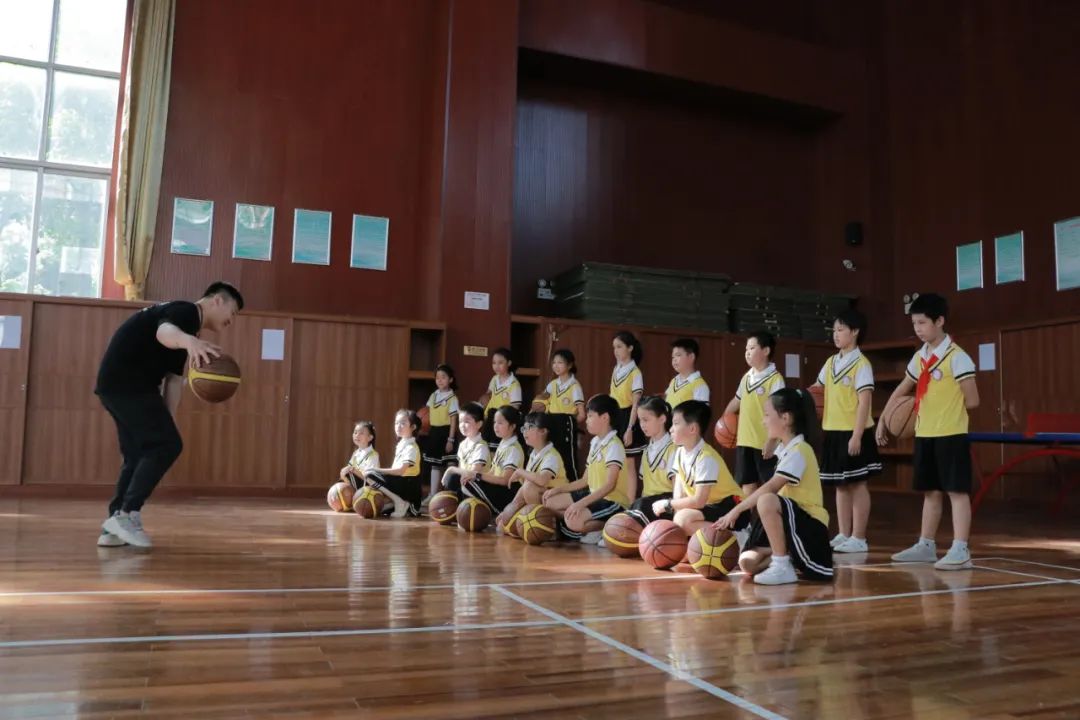 柳沙学校南宁,南宁柳沙学校在哪里