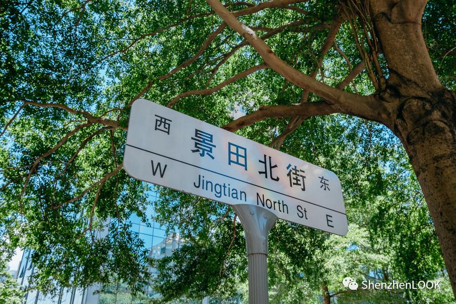 LOOK|这，就是景田