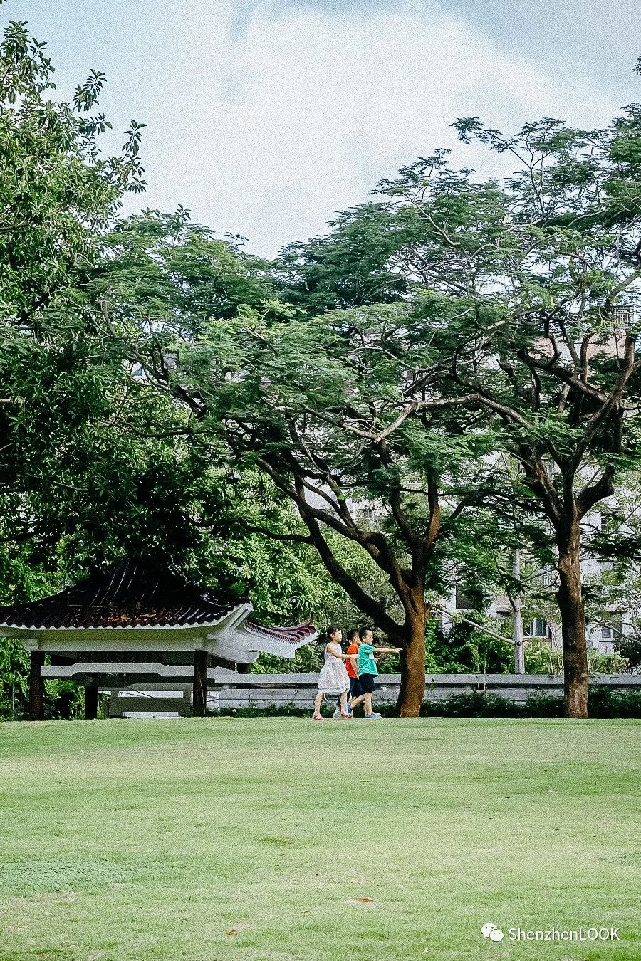 LOOK|这，就是景田